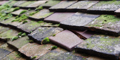 Cwmisfael roof repair costs